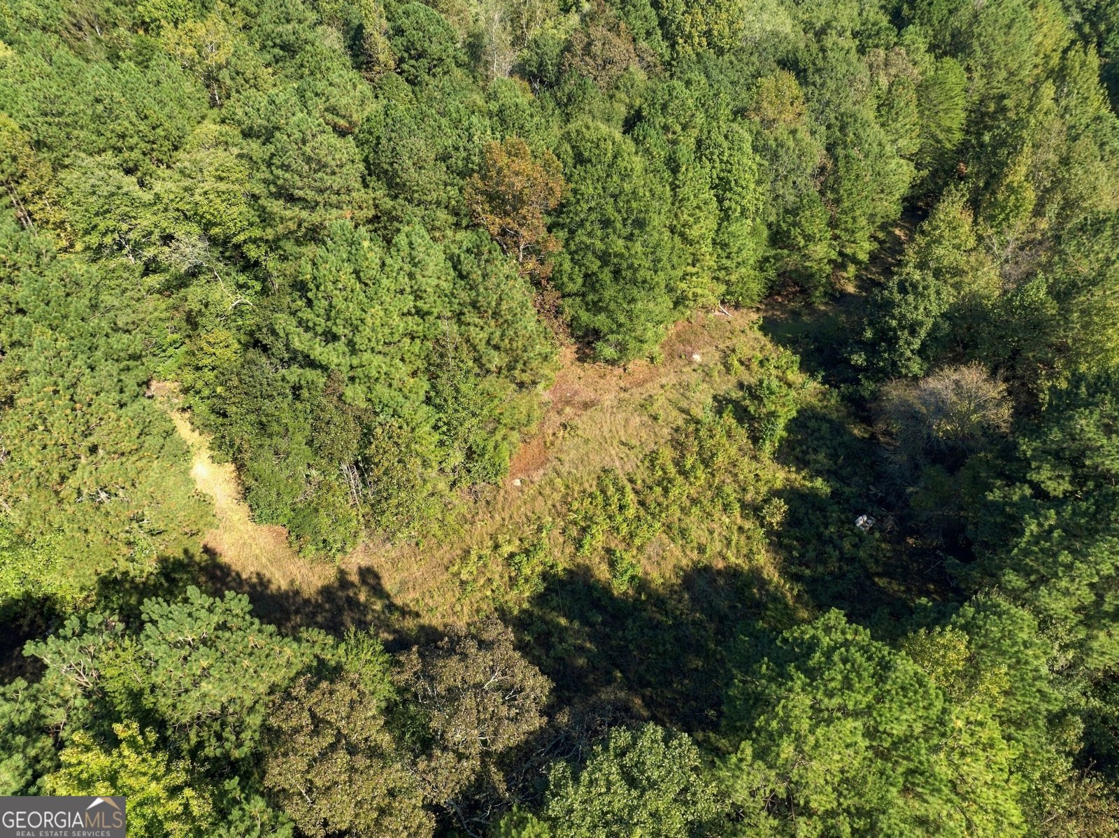 8732 Highway 337 Summerville - Photo 12