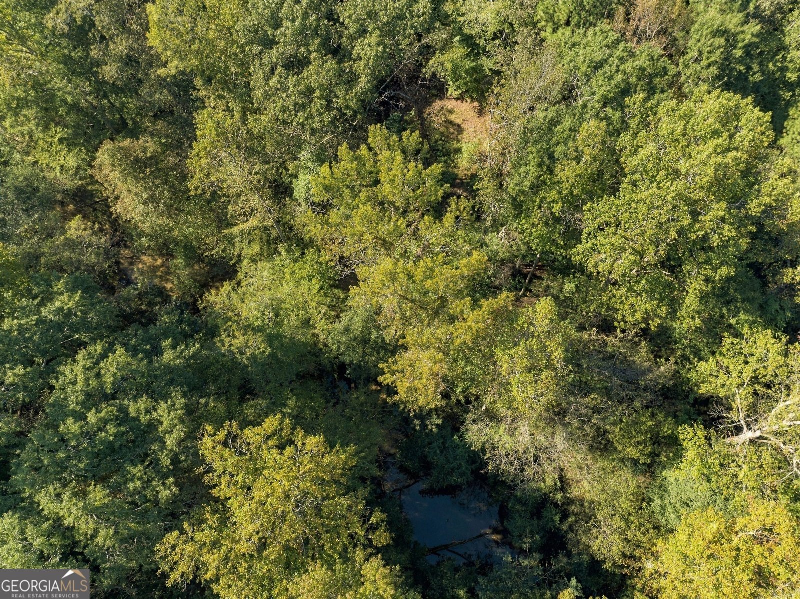 8732 Highway 337 Summerville - Photo 13
