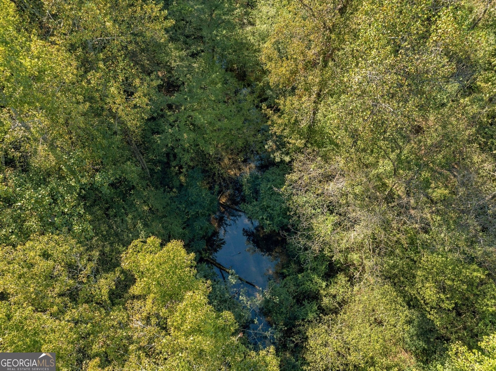 8732 Highway 337 Summerville - Photo 14