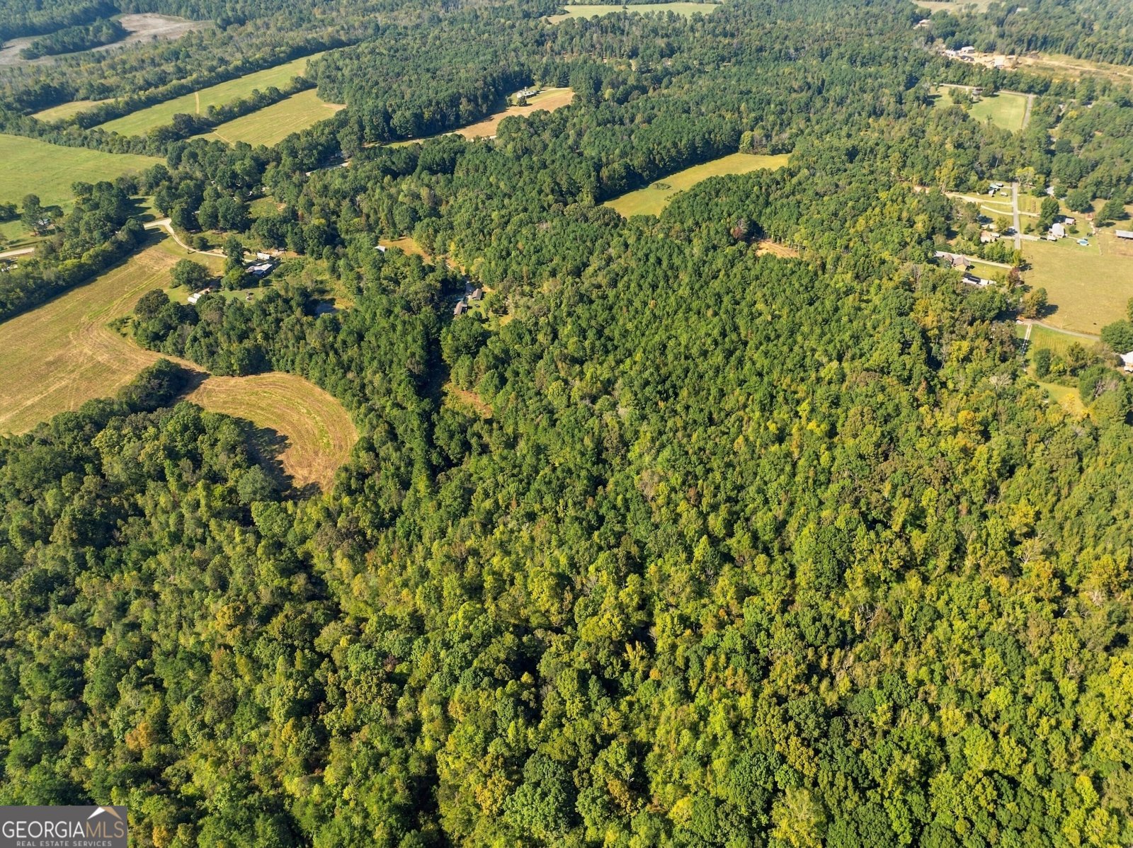 8732 Highway 337 Summerville - Photo 19