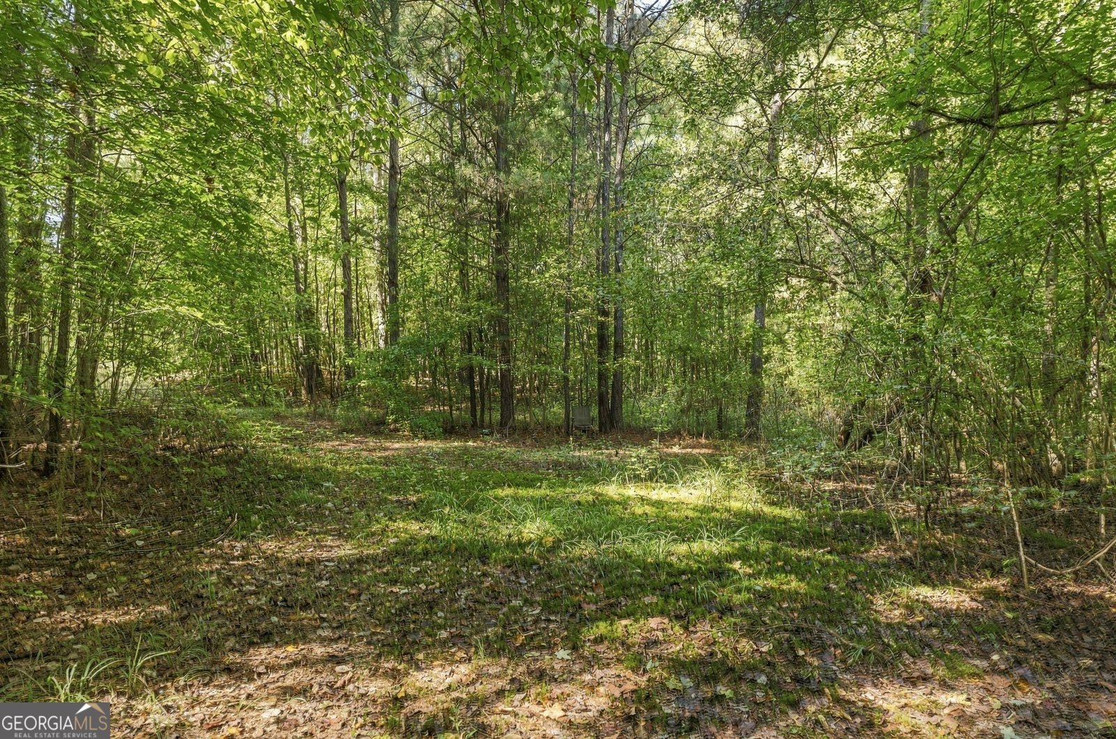 8732 Highway 337 Summerville - Photo 20