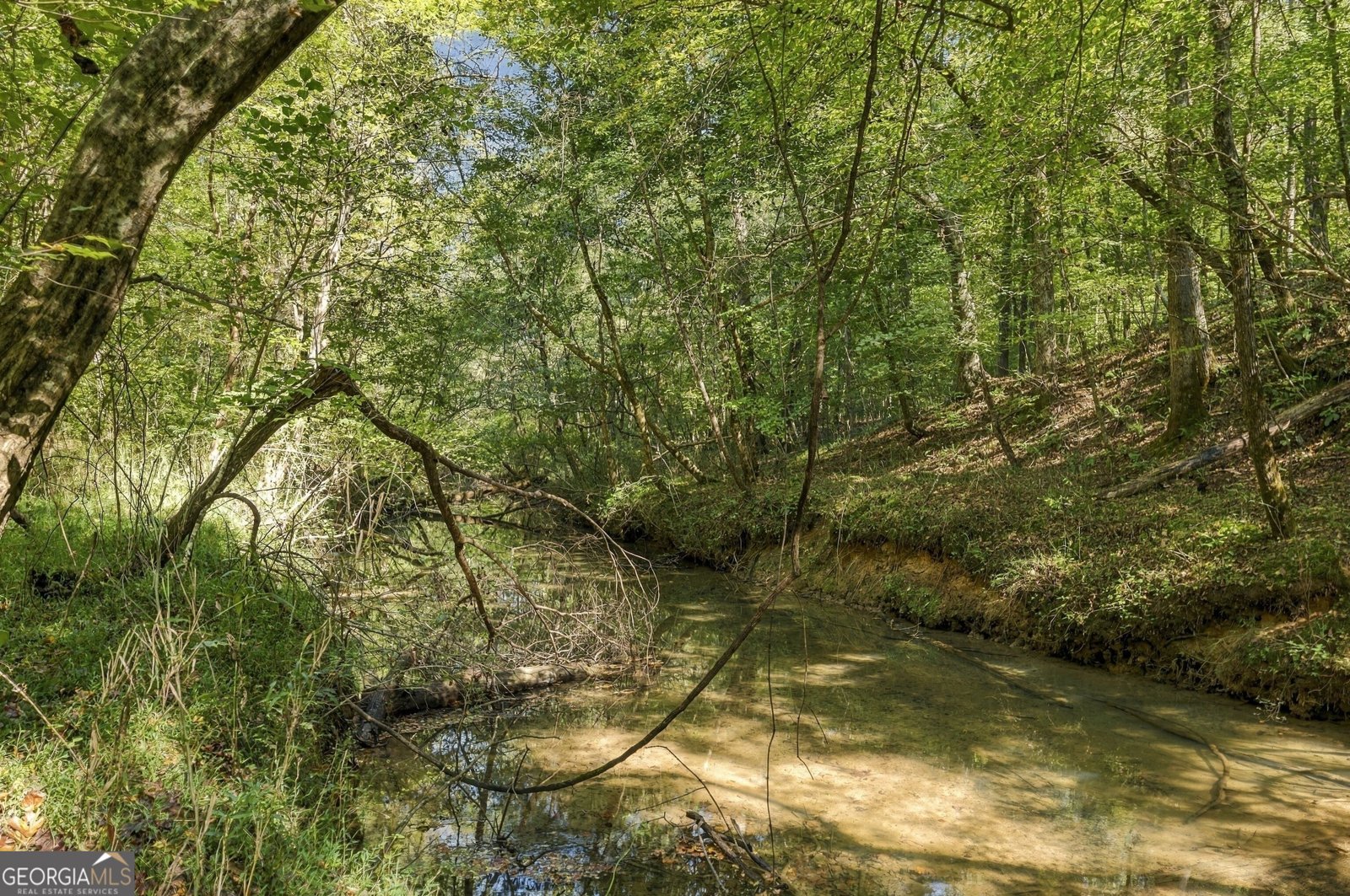 8732 Highway 337 Summerville - Photo 21