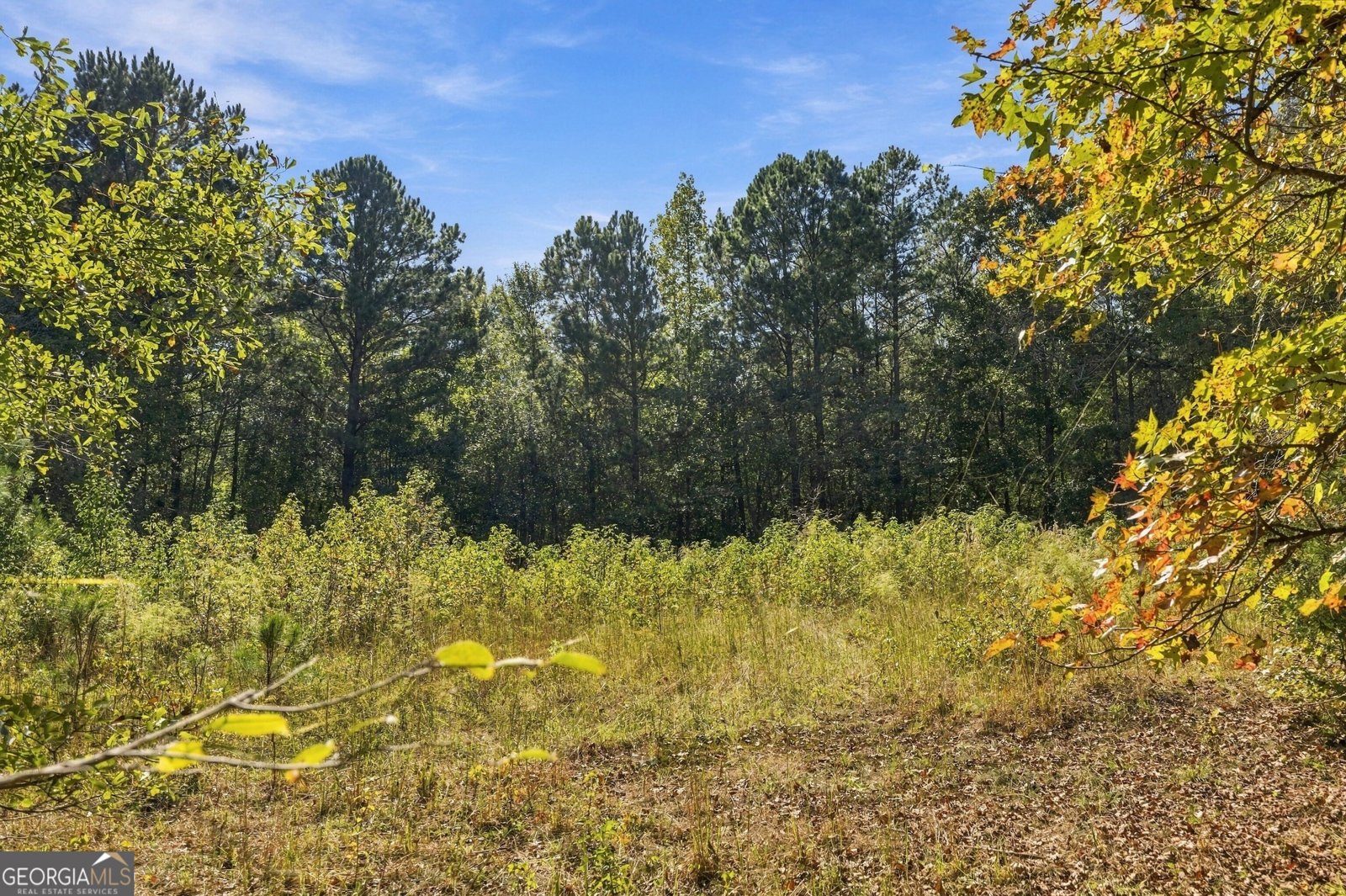 8732 Highway 337 Summerville - Photo 22