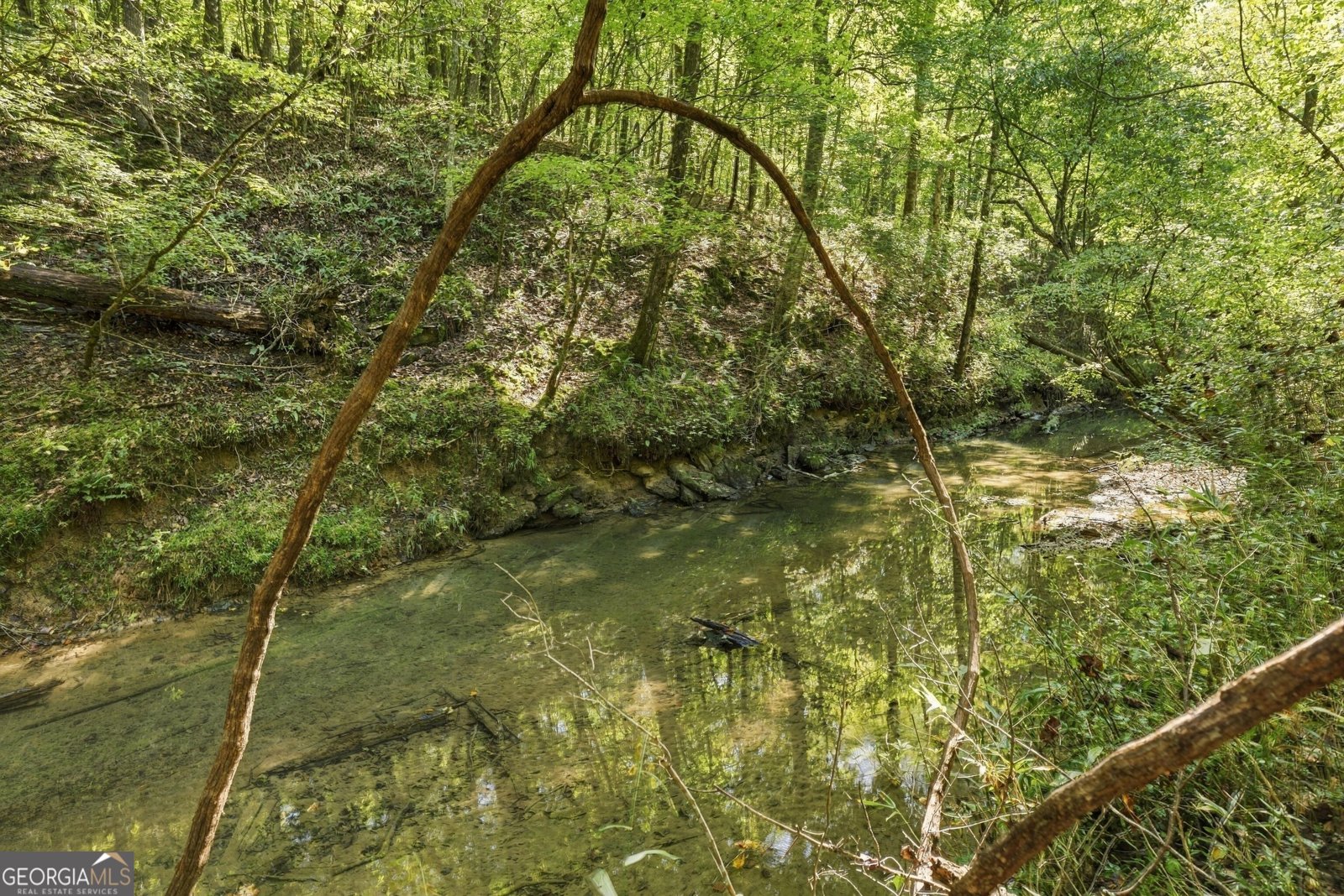 8732 Highway 337 Summerville - Photo 6