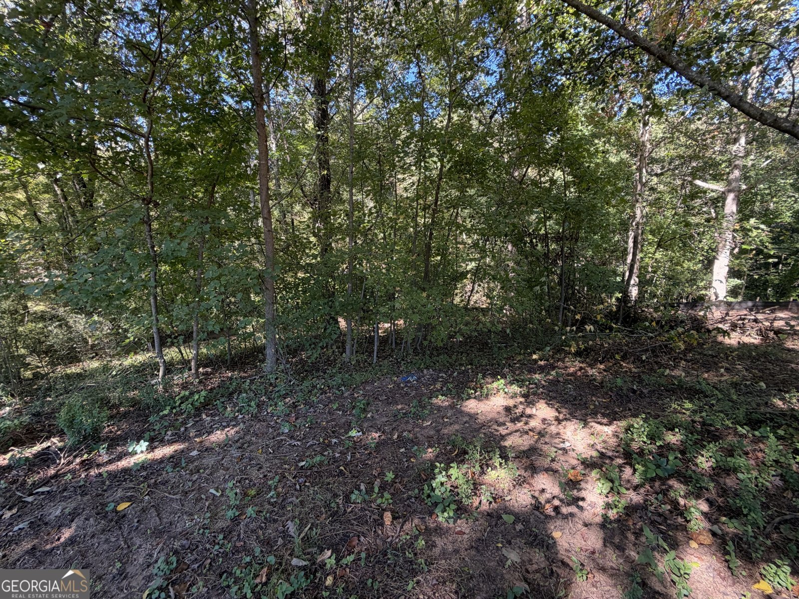 192 Stonington Drive Mount Airy - Photo 6
