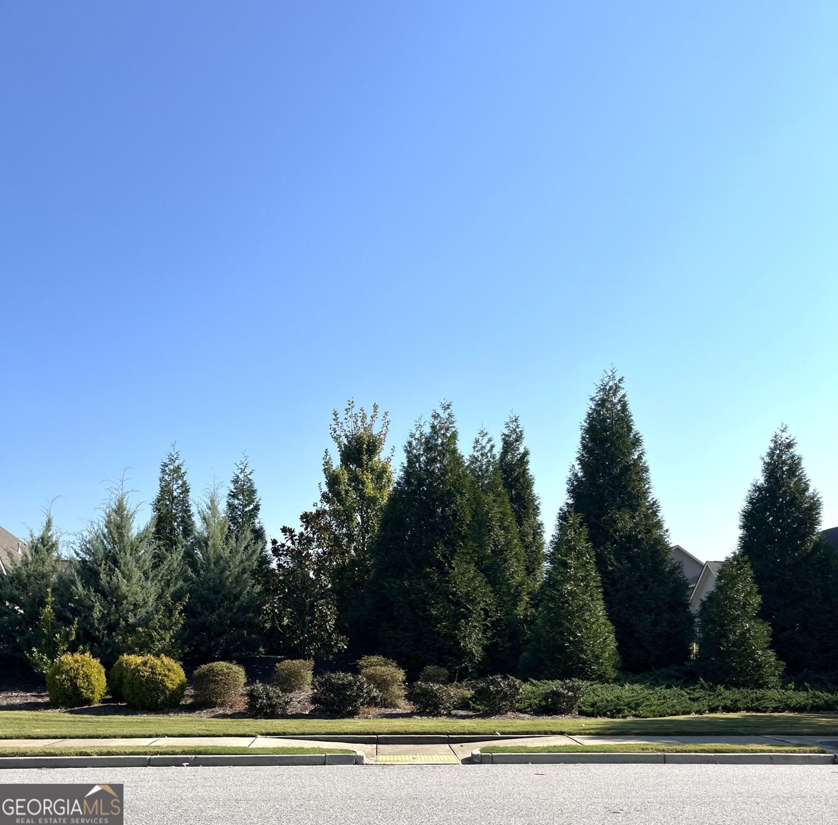 5810 Stellata Circle Cumming - Photo 47
