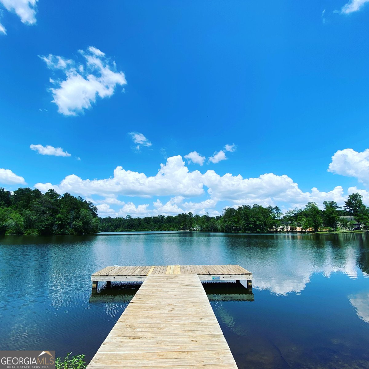 427 Lakeview Way Lagrange - Photo 10