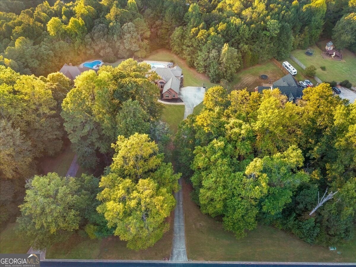 815 Streamside Drive McDonough - Photo 65
