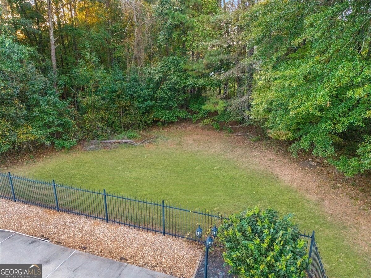815 Streamside Drive McDonough - Photo 66