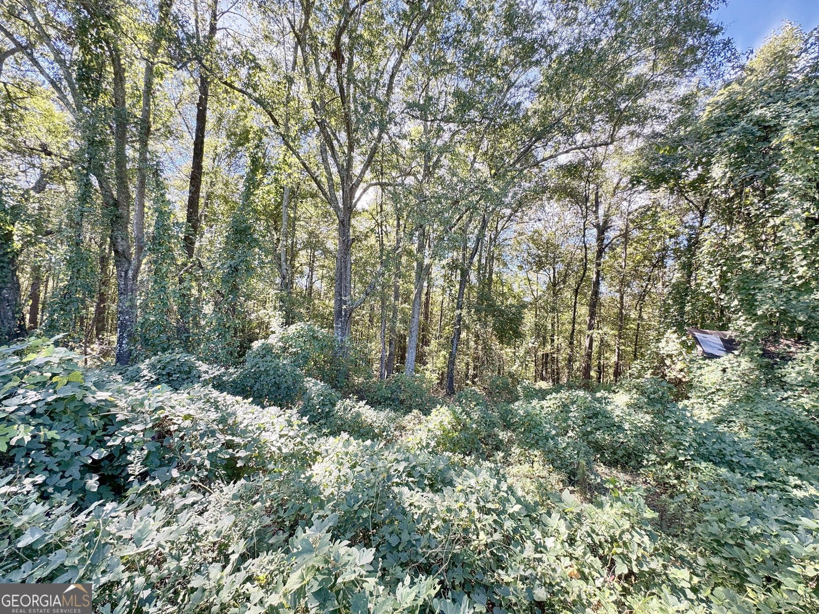 192 Persimmon Street Toccoa - Photo 37