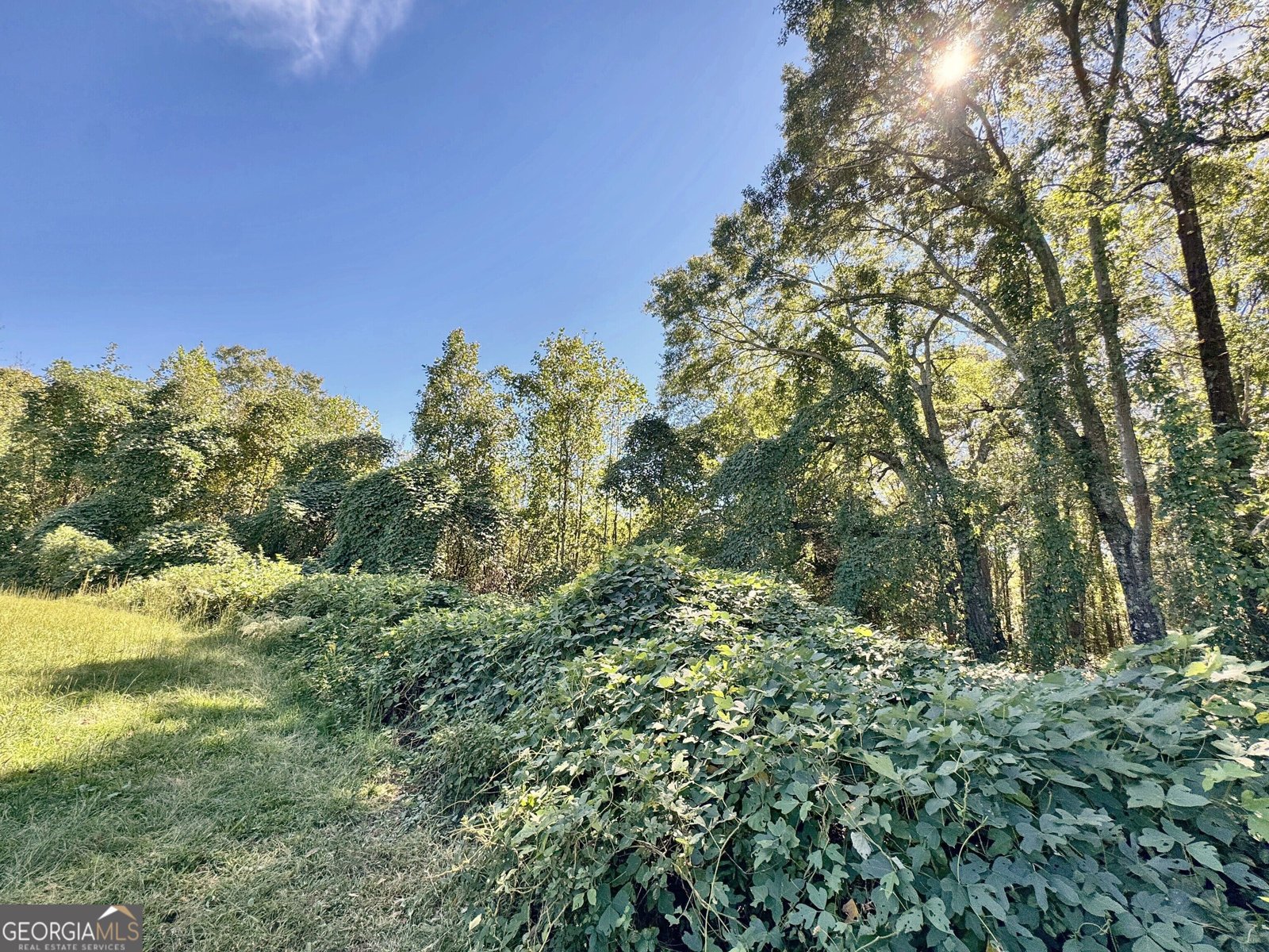 192 Persimmon Street Toccoa - Photo 39