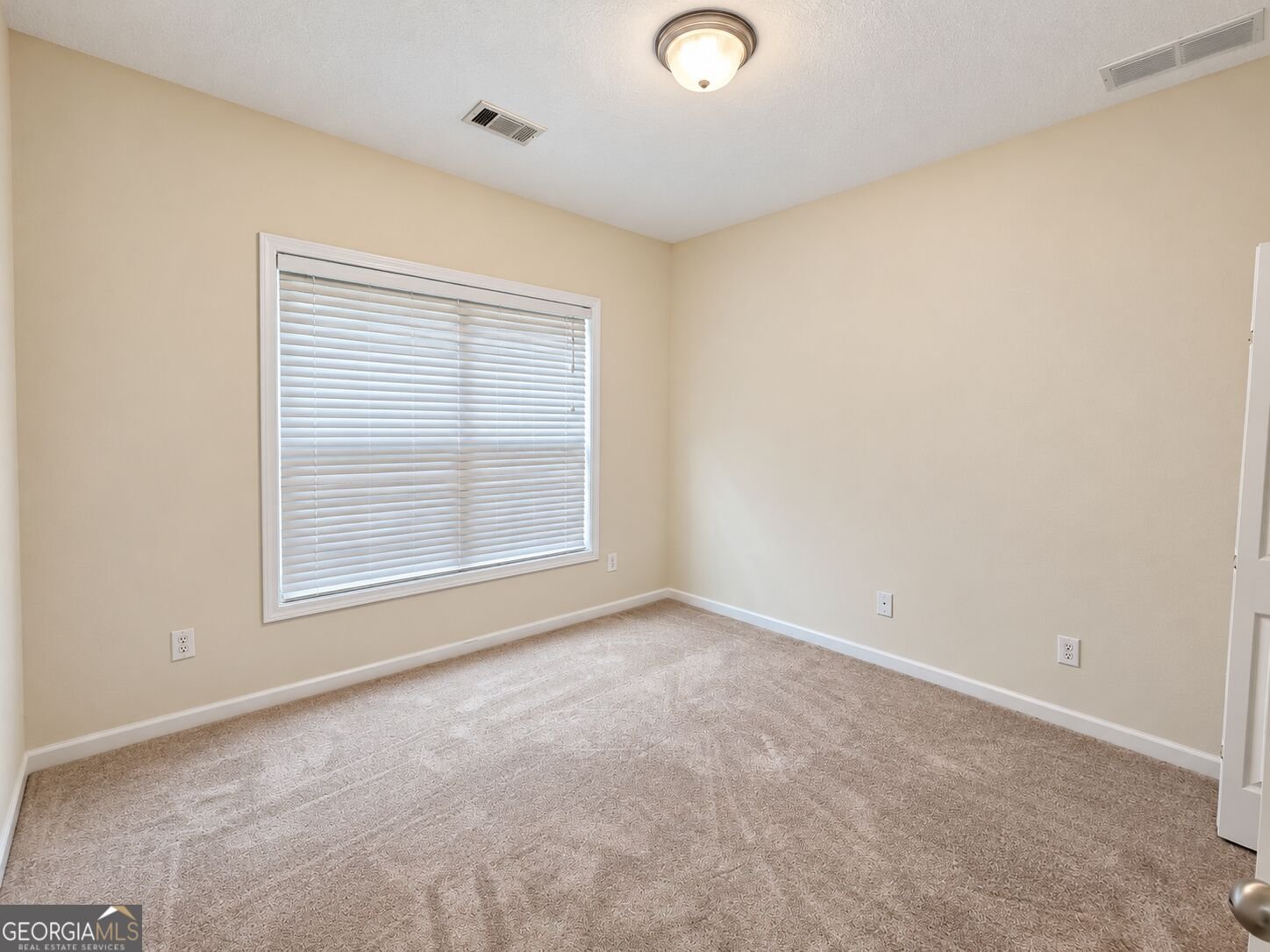 2586 Luther Bailey Road Senoia - Photo 12