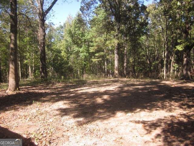 312 Mansfield Road White - Photo 49