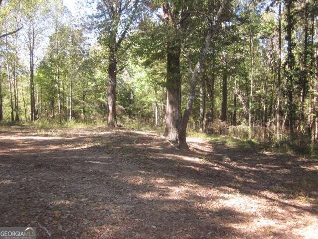 312 Mansfield Road White - Photo 52