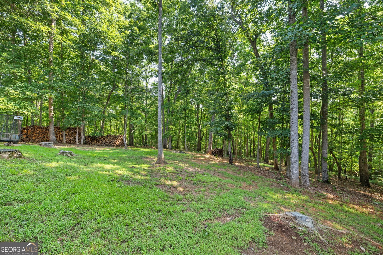 284 Laurel Place Drive Cornelia - Photo 45