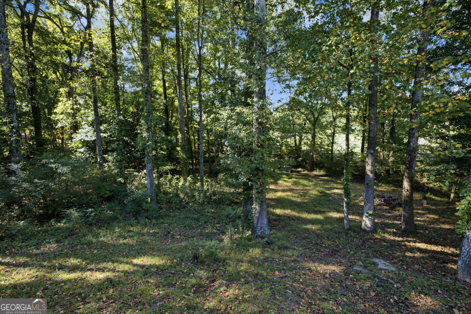20 Audubon Point Newnan - Photo 37