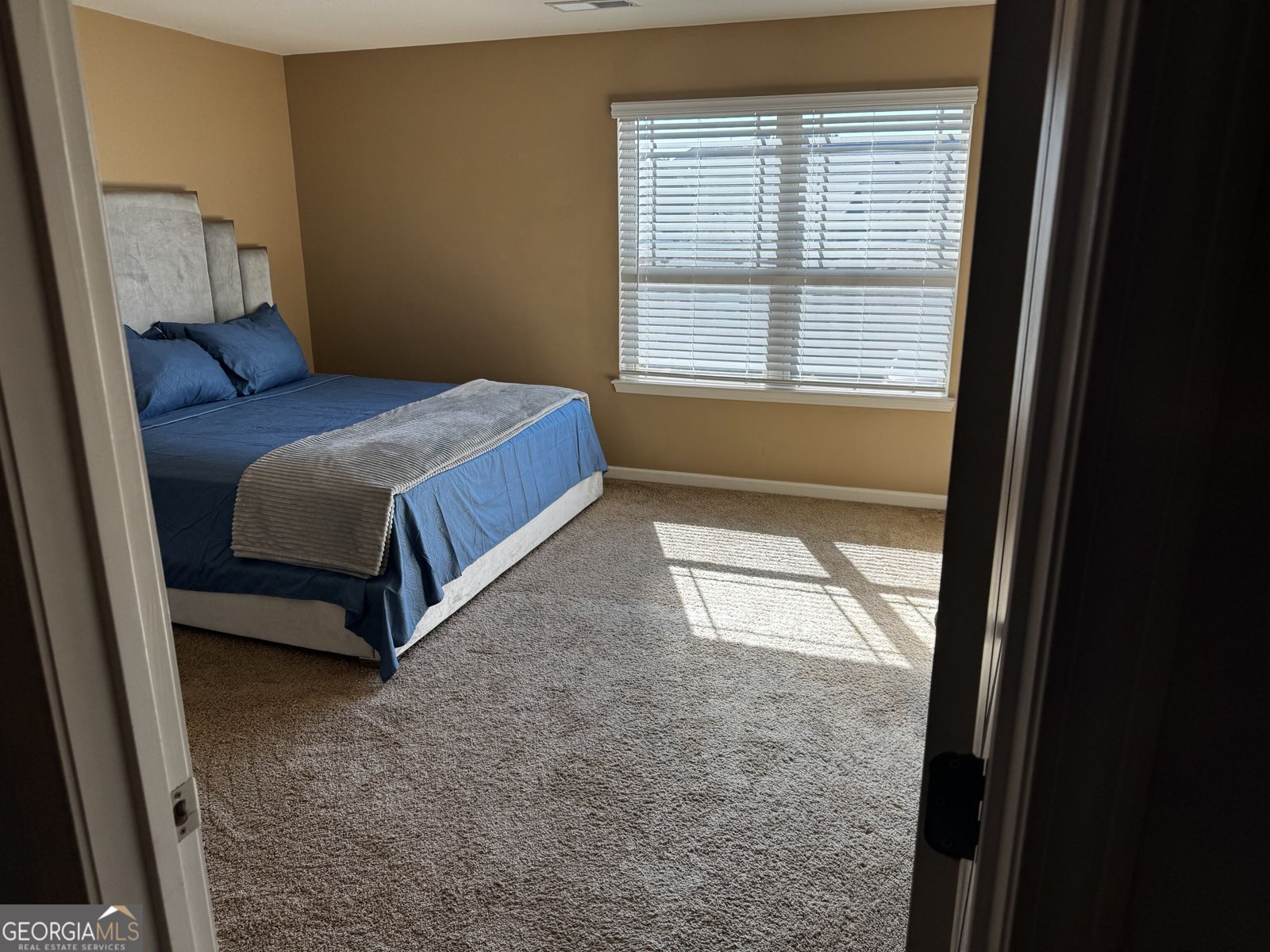 134 Brookview Drive Newnan - Photo 46
