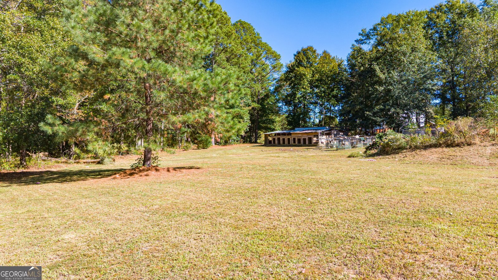 117 Mitchell Farm Road Colbert - Photo 49