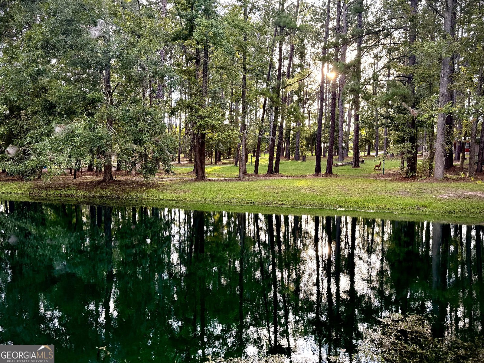 1135 Rigby Road Rockledge - Photo 125