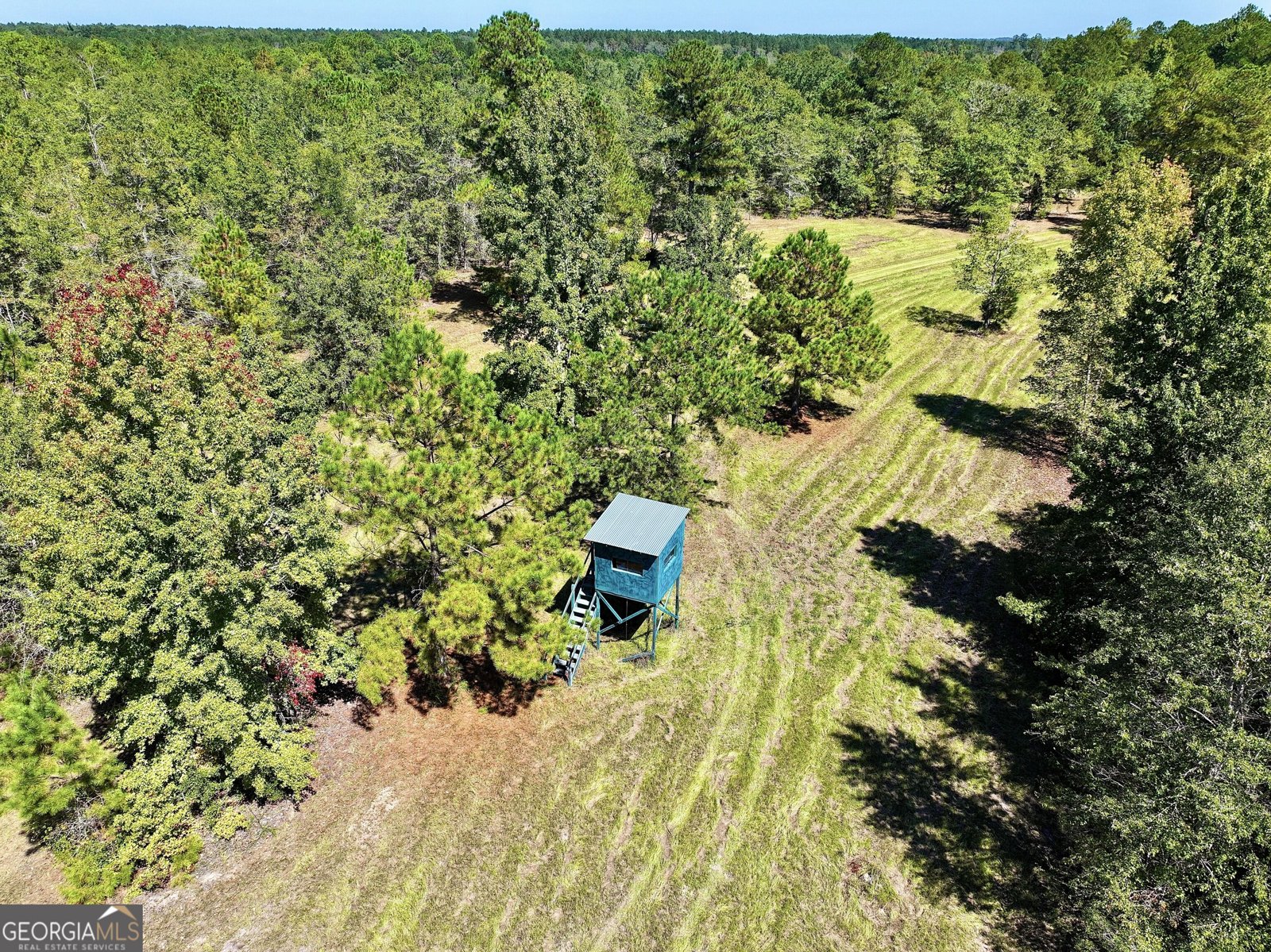 241 Foskey Cem Road Adrian - Photo 54