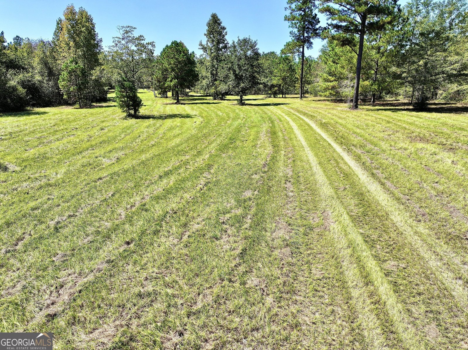 241 Foskey Cem Road Adrian - Photo 56
