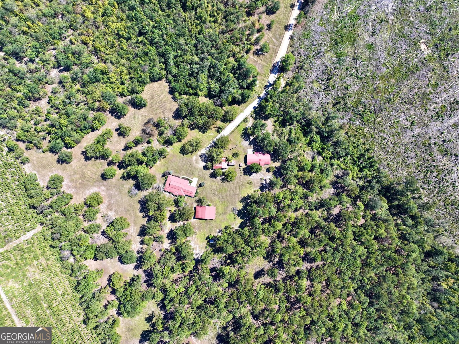 241 Foskey Cem Road Adrian - Photo 61