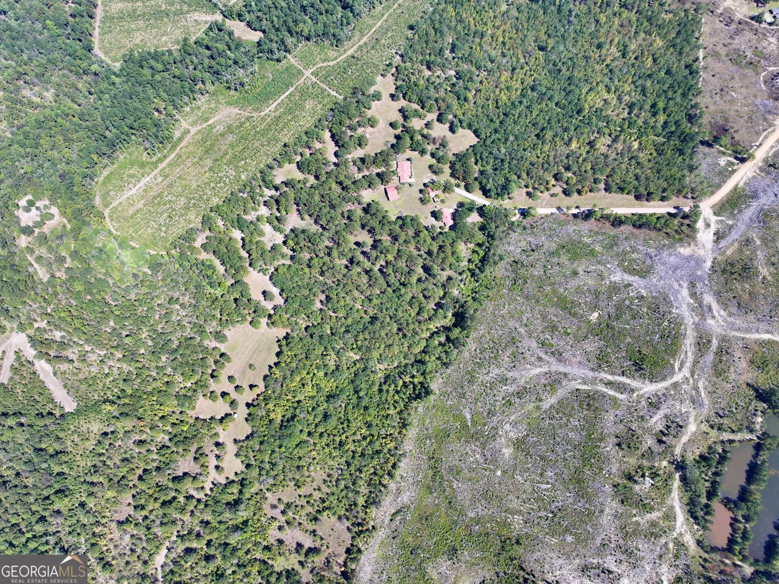 241 Foskey Cem Road Adrian - Photo 74