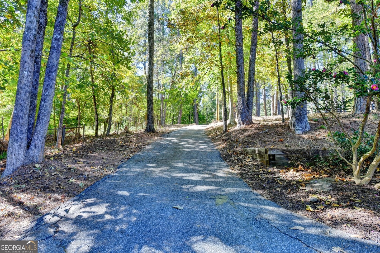 3235 Chimney Cove Drive Cumming - Photo 113