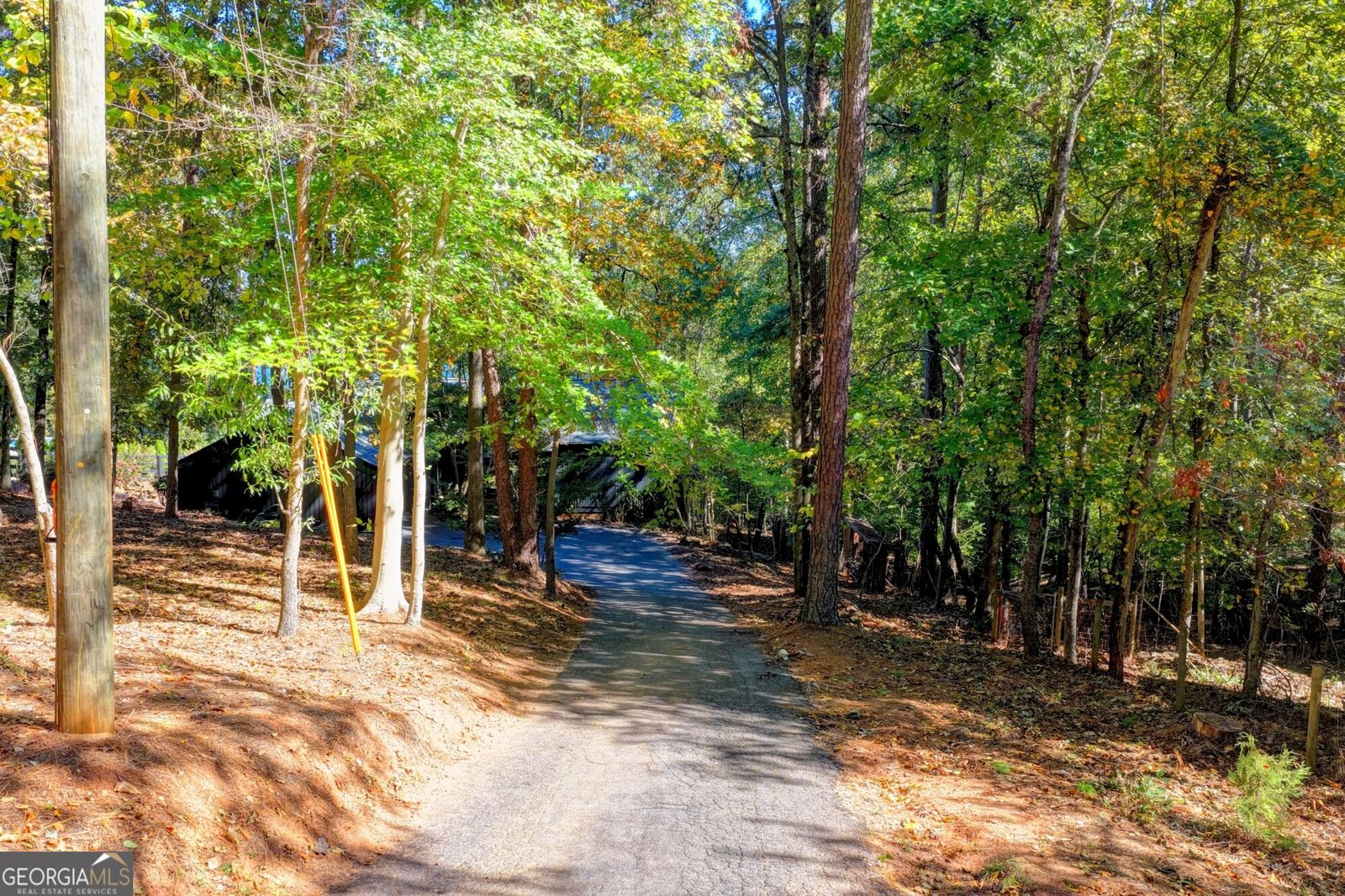 3235 Chimney Cove Drive Cumming - Photo 119