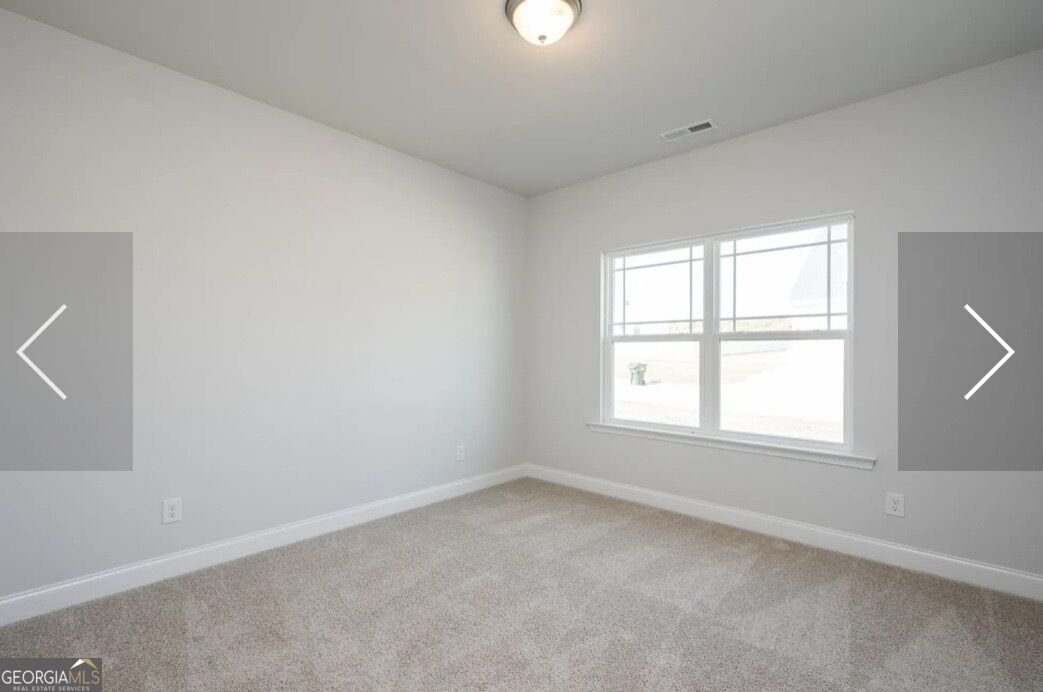 329 Blackberry Court Pendergrass - Photo 13