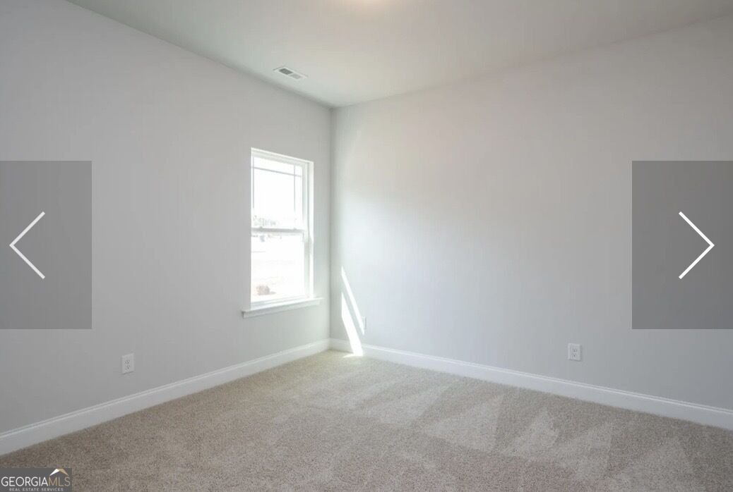 329 Blackberry Court Pendergrass - Photo 16