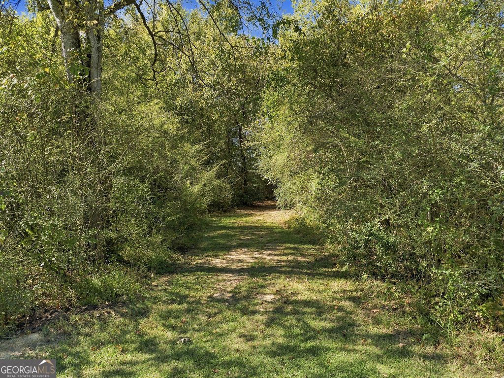 797 Old Dalton Road Rome - Photo 8