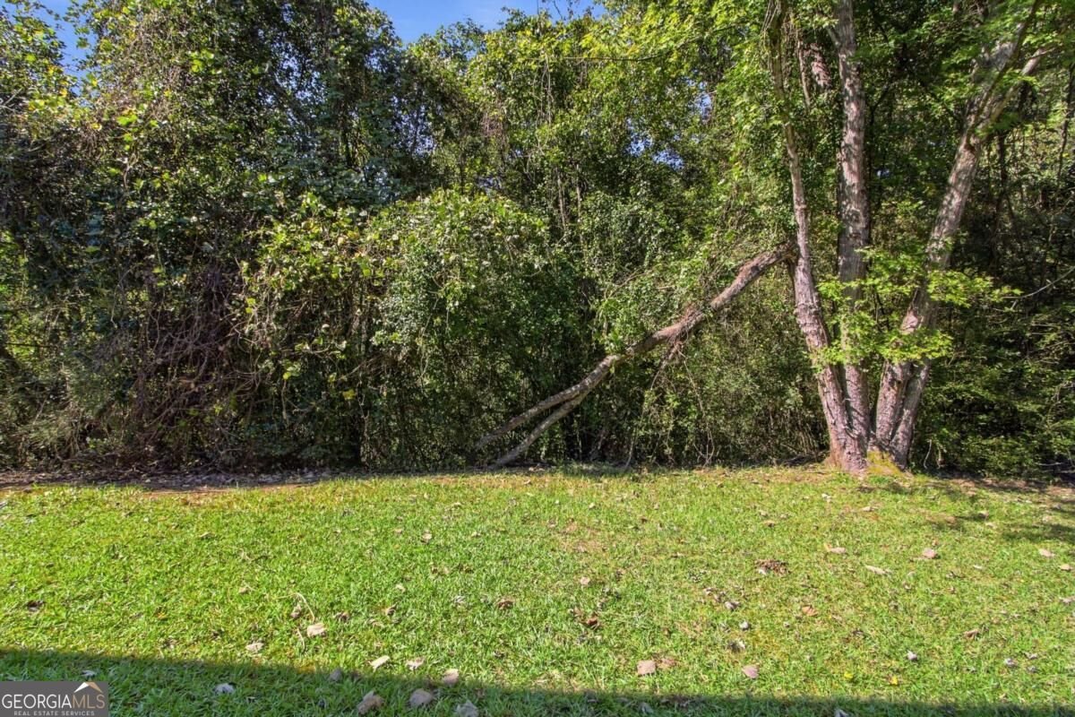 2750 Green Marsh Court Decatur - Photo 26