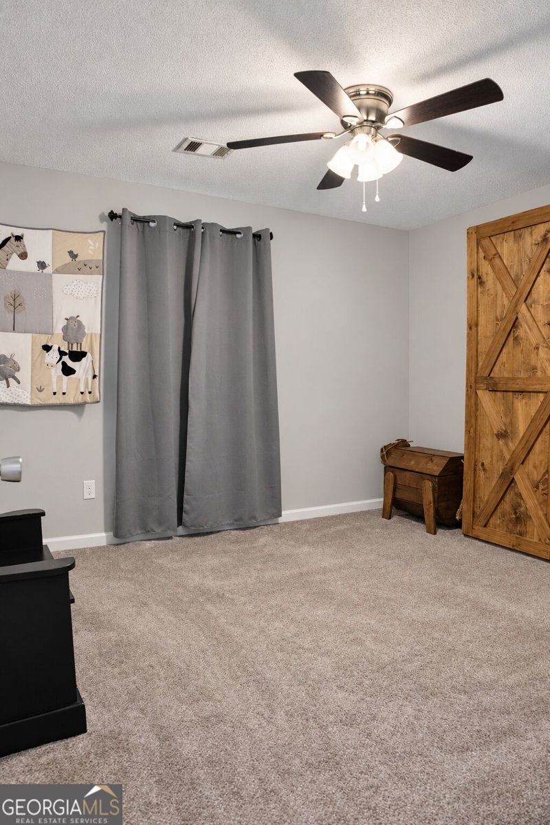 435 Lone Oak Drive Senoia - Photo 37