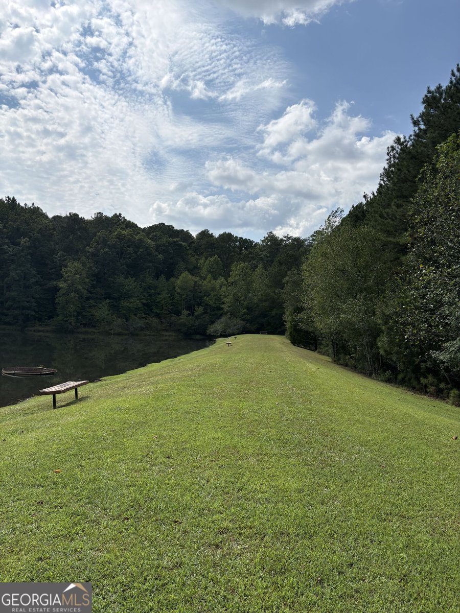 4095 Lake Drive Loganville - Photo 57