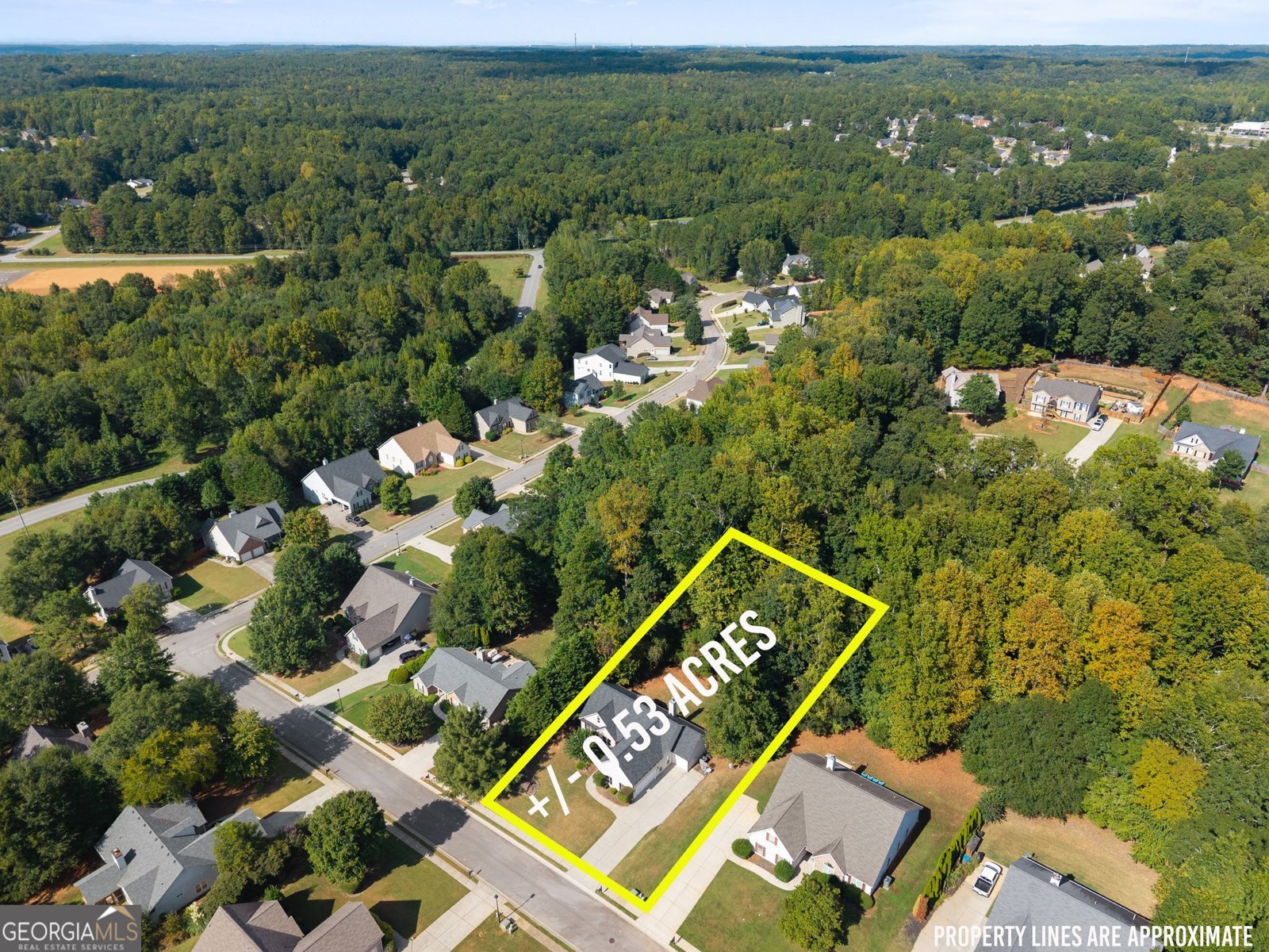 370 Laurel Oaks Lane Jefferson - Photo 39