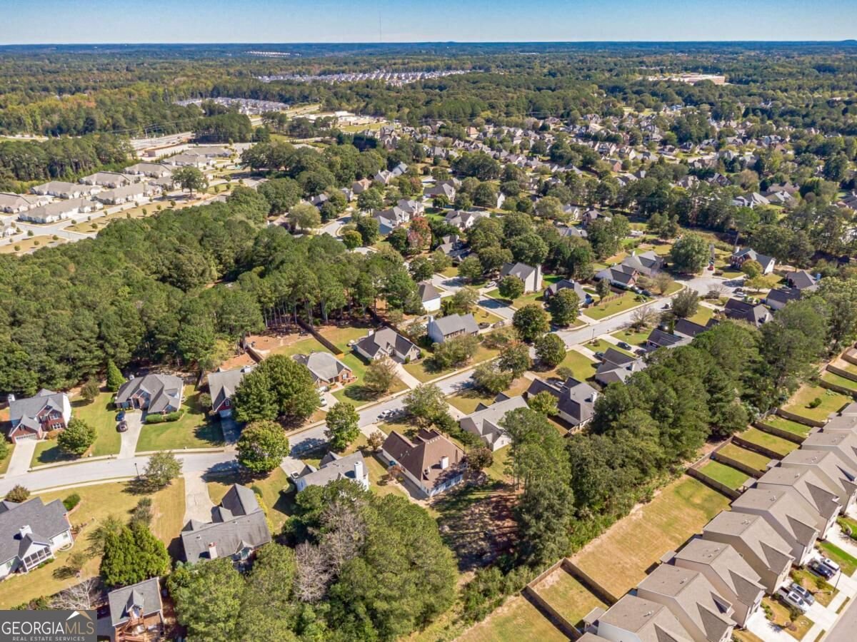 2915 Meadow Gate Way Loganville - Photo 54