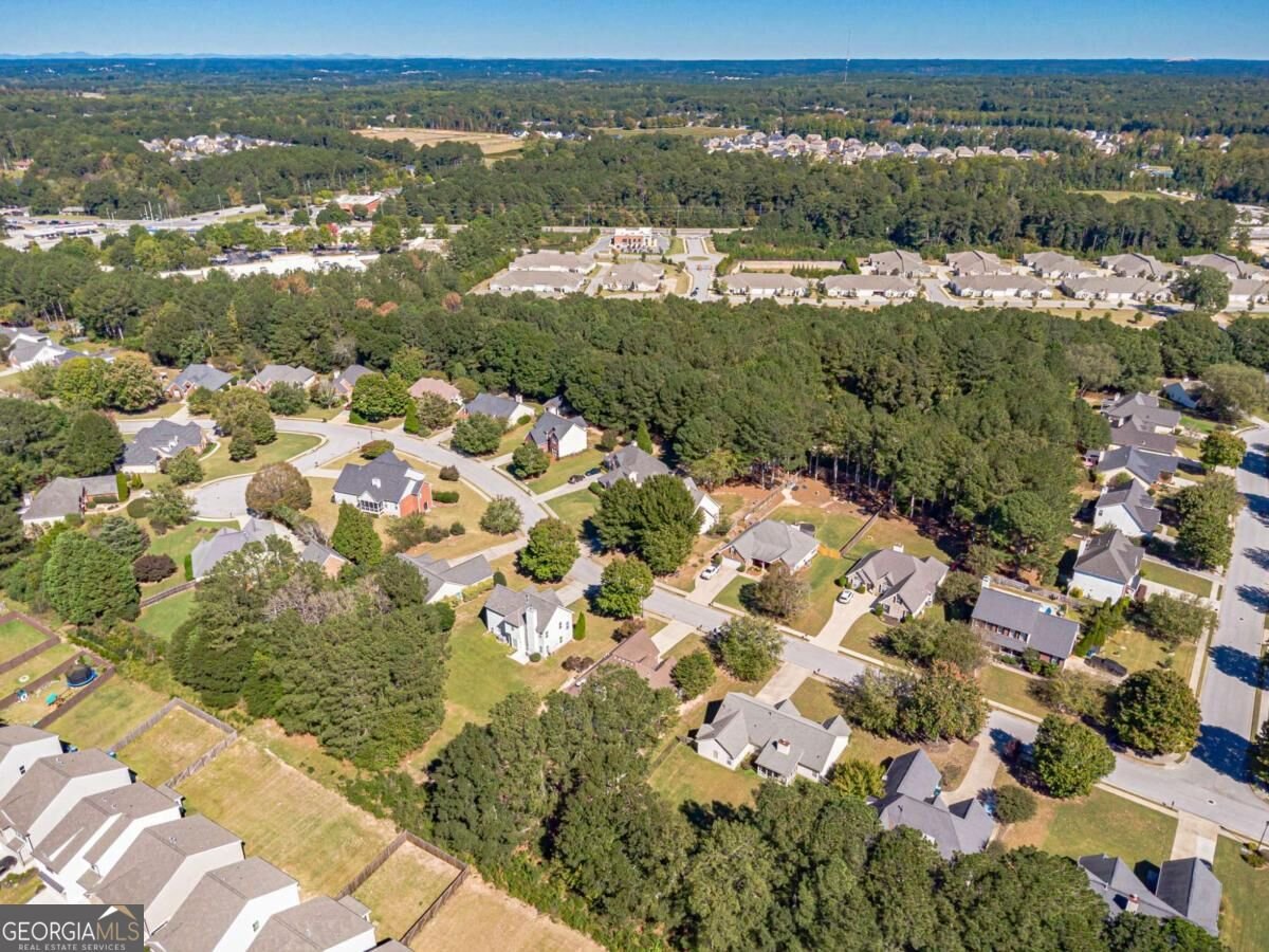 2915 Meadow Gate Way Loganville - Photo 55