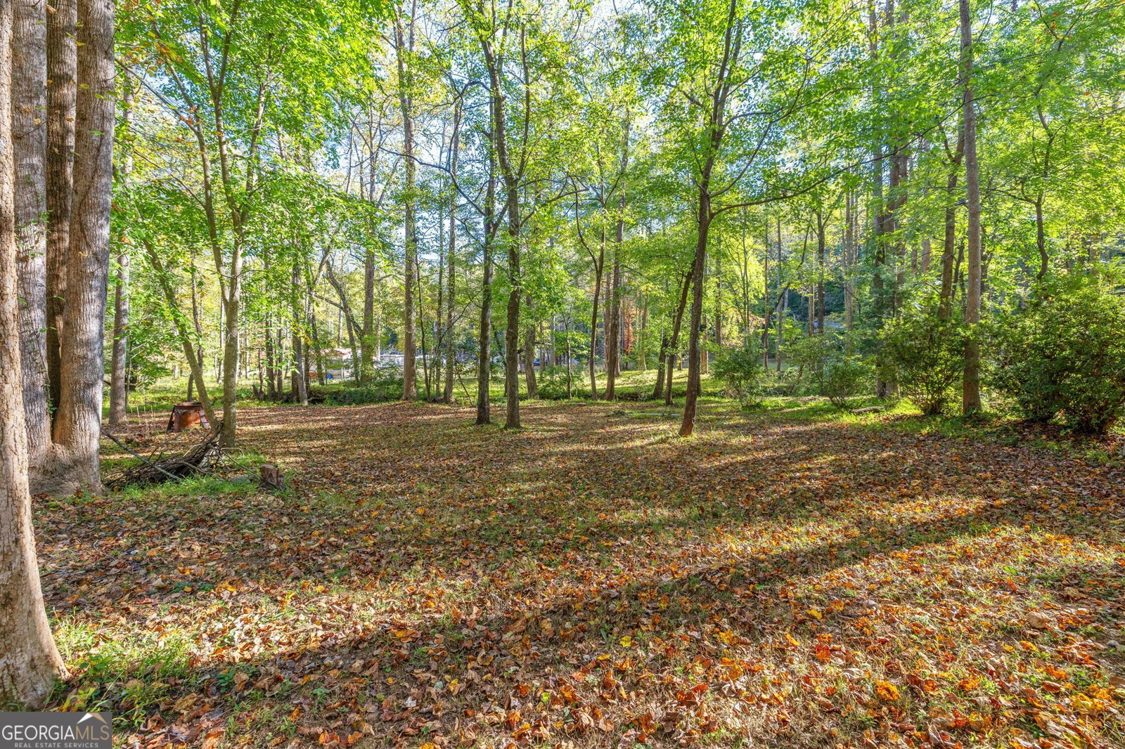 332 Magnolia Drive Sautee Nacoochee - Photo 34