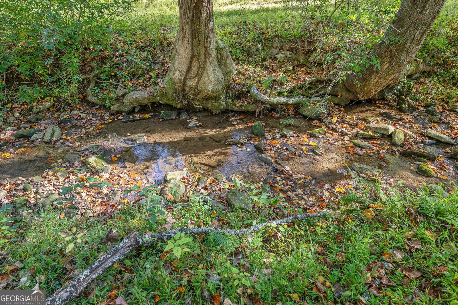 332 Magnolia Drive Sautee Nacoochee - Photo 36