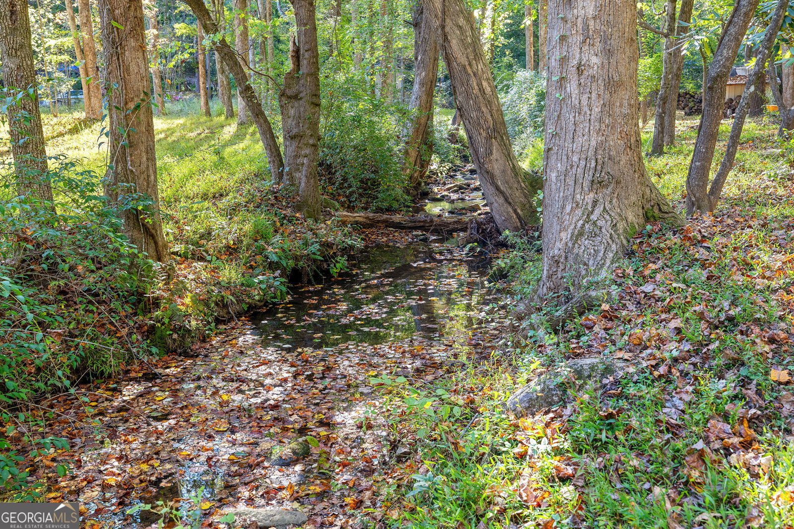 332 Magnolia Drive Sautee Nacoochee - Photo 39