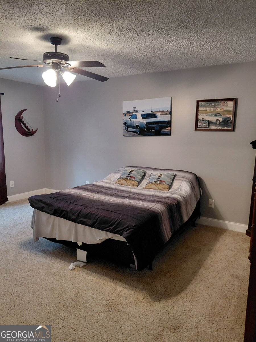 3636 Fountain Springs Road Millen - Photo 27
