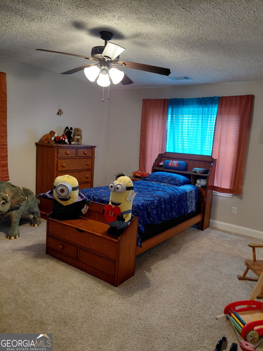 3636 Fountain Springs Road Millen - Photo 30