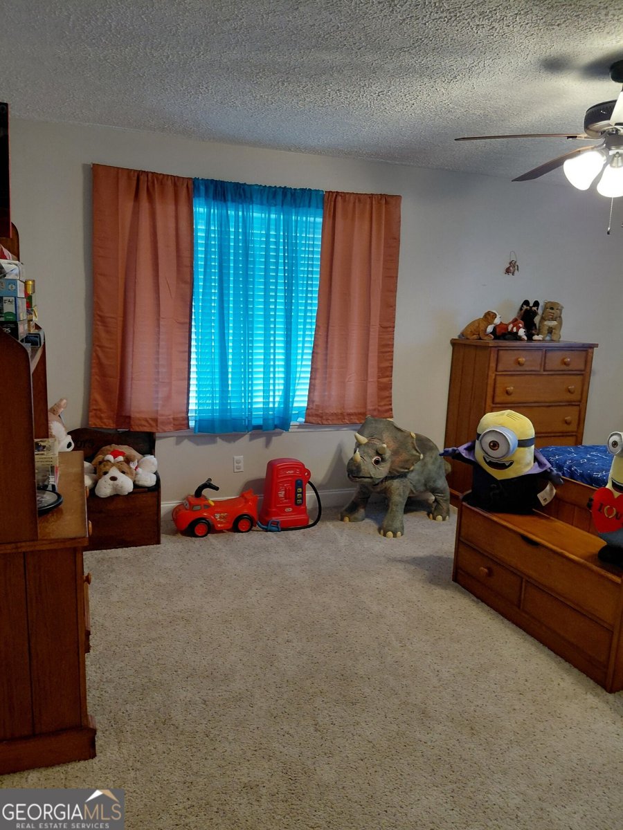 3636 Fountain Springs Road Millen - Photo 31