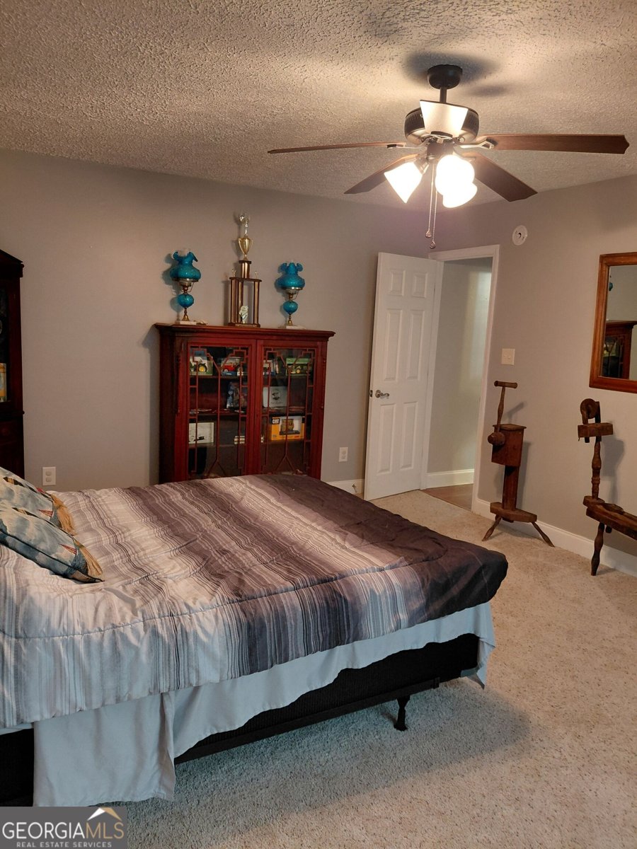 3636 Fountain Springs Road Millen - Photo 36