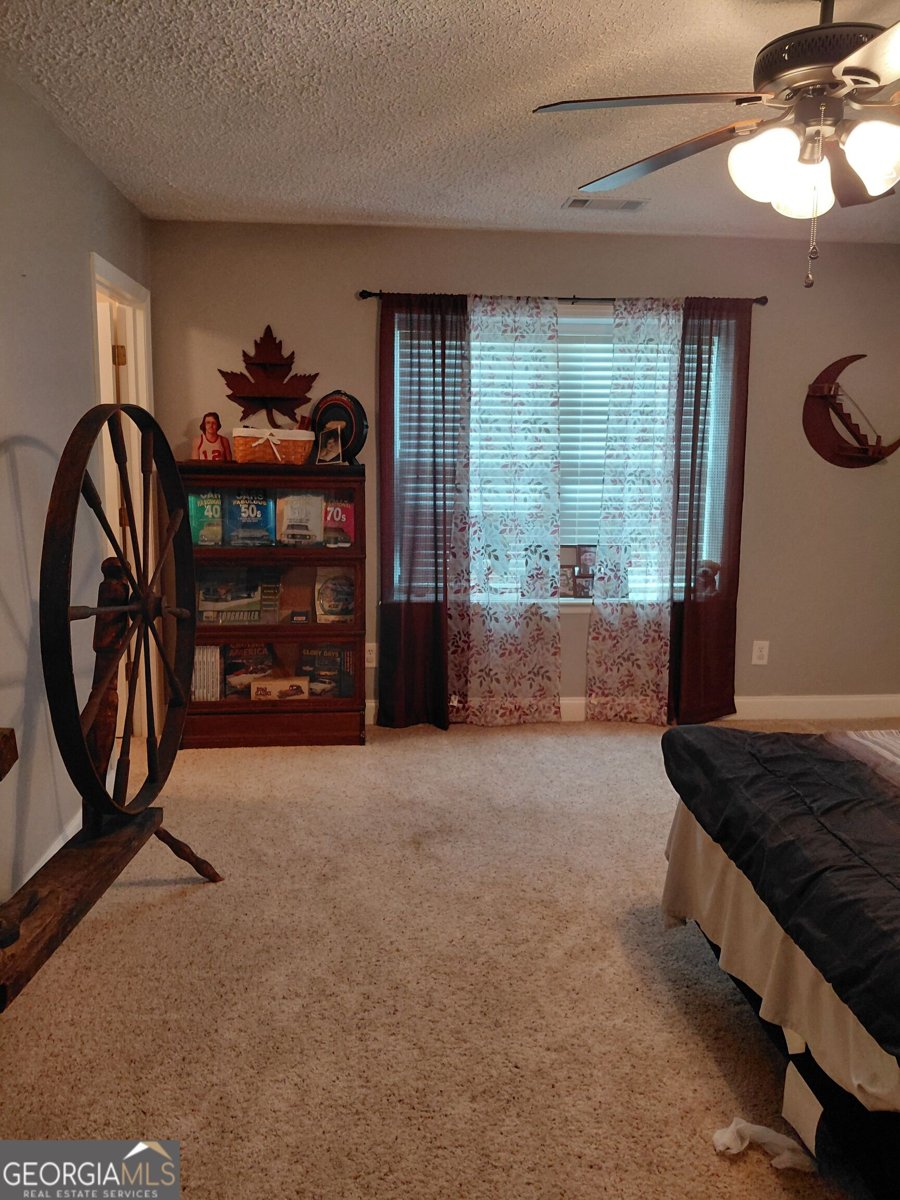 3636 Fountain Springs Road Millen - Photo 38