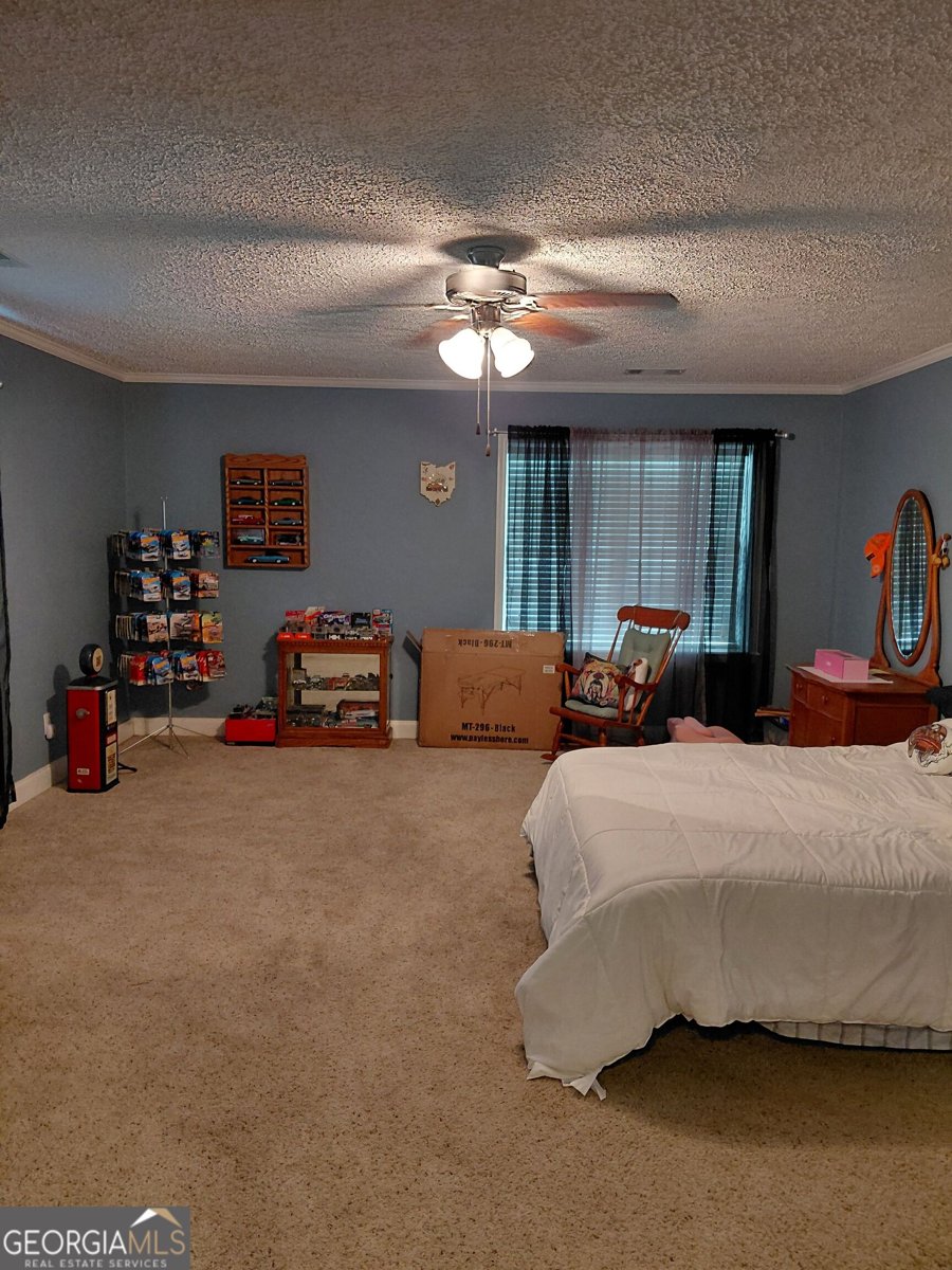 3636 Fountain Springs Road Millen - Photo 50