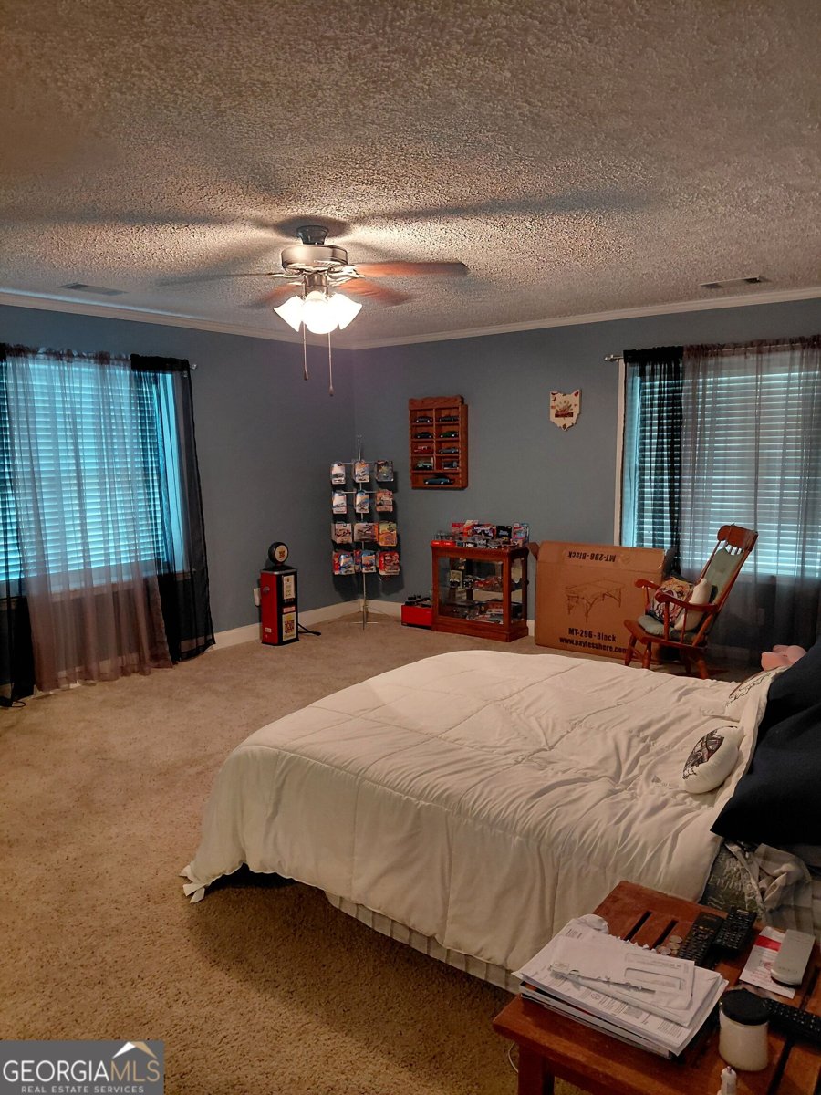 3636 Fountain Springs Road Millen - Photo 51