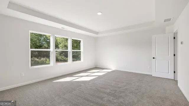 3930 Silver Pine Trail Cumming - Photo 16