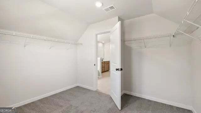 3930 Silver Pine Trail Cumming - Photo 20